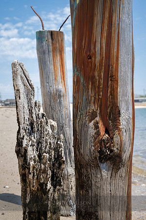 Three Pilings