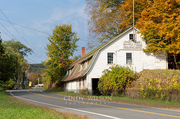 Upwey Farms