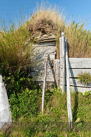Root Cellar, Twillingate