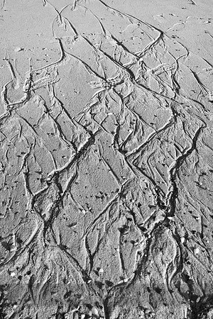 Beach Rivers