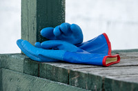Blue Gloves, Cow Head