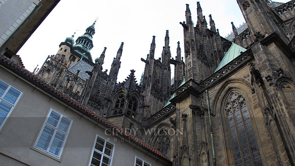 IMG_0115 copy