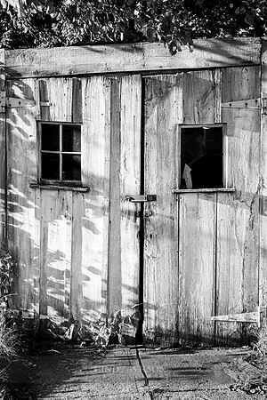 Shed Doors