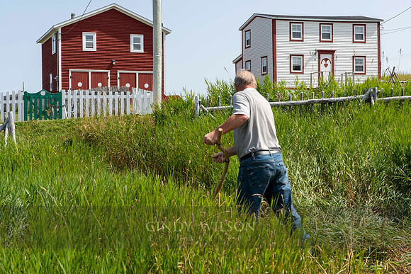 Scything the Grass, Greene's Point