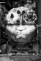 Train face