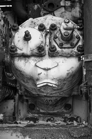 Train face