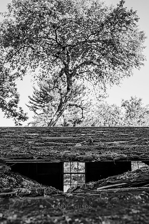Two Worlds