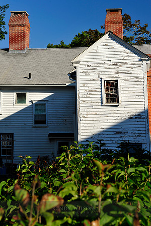 Shadows on the Pink House, Wickford
