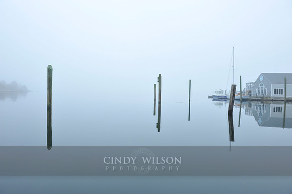 Stillness and Reflection