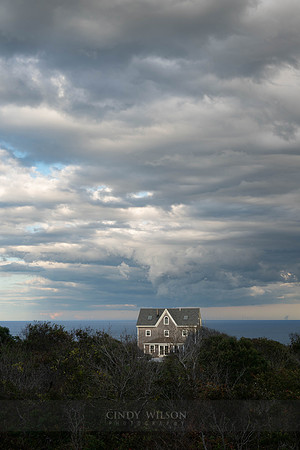 Dwarfed Cottage