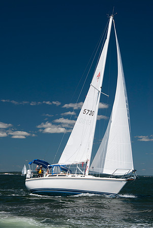 Safe Sea member boat photos