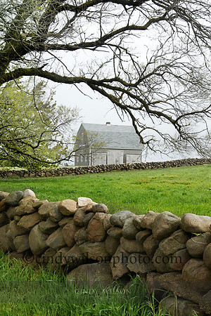 Mitchel Barn in the Spring