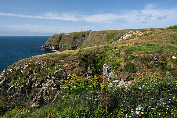 Cape St Mary's Headland