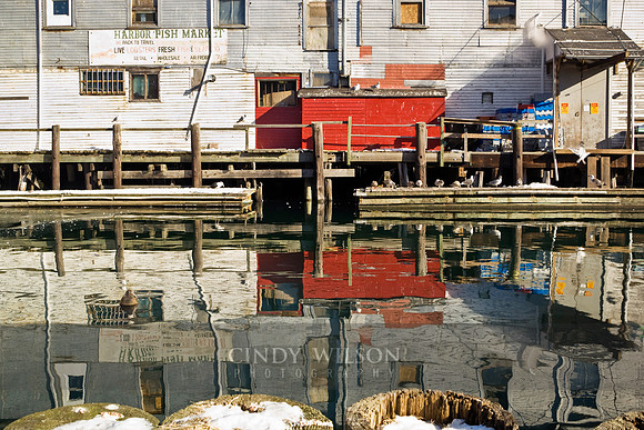 Harbor Reflections, Portland, Maine