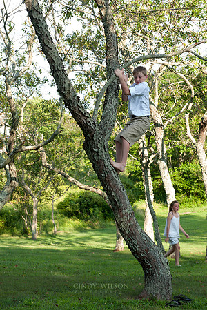 Debrandt/Fletcher family photos
