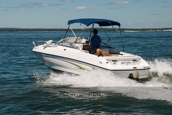 Safe Sea member boat photos