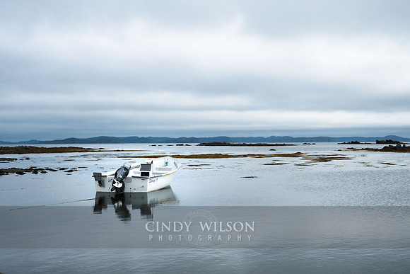 Becalmed, Back Harbor, Twillingate