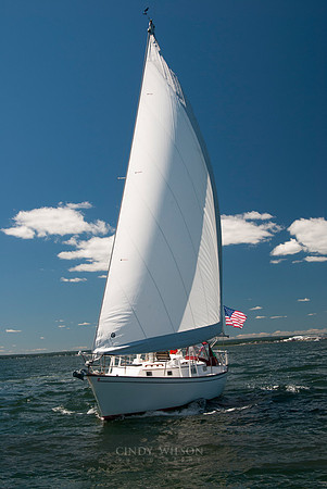 Safe Sea member boat photos