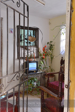 Profundo Journeys Cuba