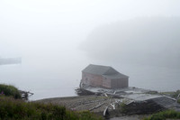 Fishing Stage, New Bonaventure