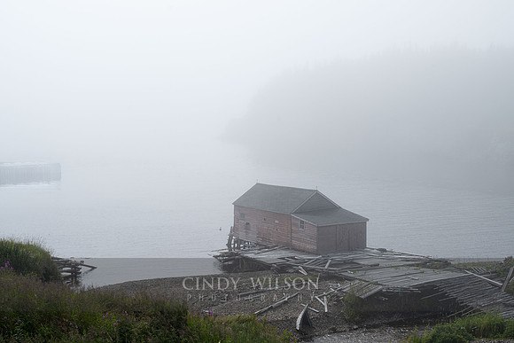 Fishing Stage, New Bonaventure