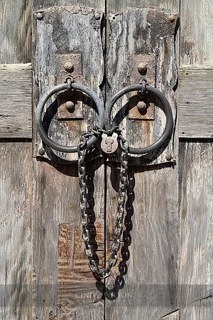 Door Face