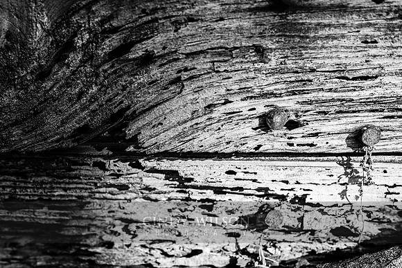 Wood Grain