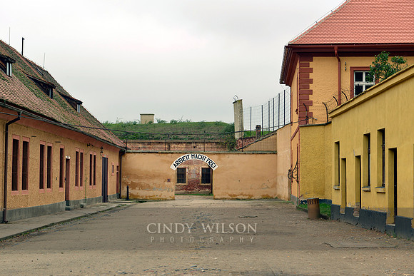 _CHW0953