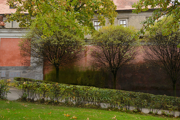 Spring Greens, Czesky Krumlov, Czech Republic