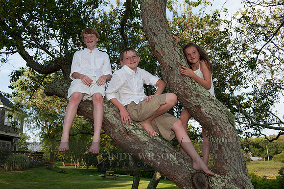 Debrandt/Fletcher family photos