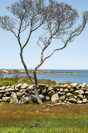 North Light Framed