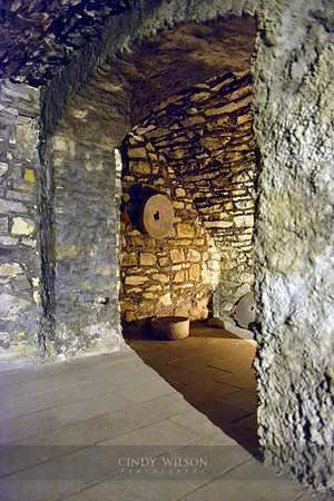 _CHW1025