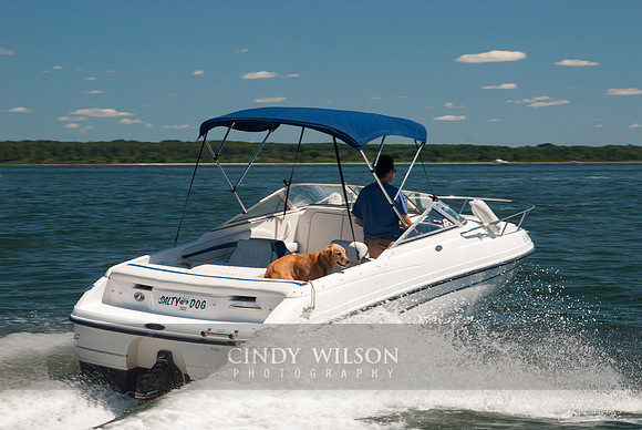 Safe Sea member boat photos