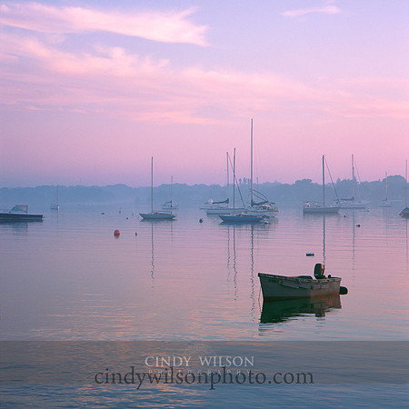 Pink Mist, Wickford, RI