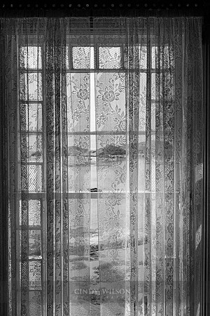 Through a Newtown Window