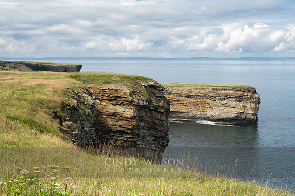 Headland, Bell Island