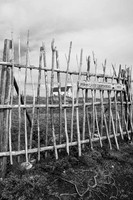 Fenced In, Ferryland