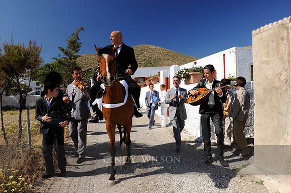 The Bridegroom