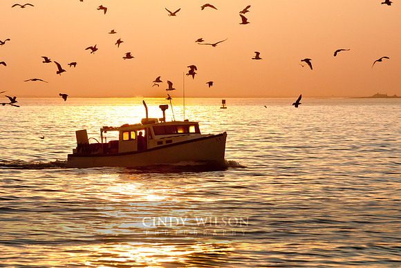 The Day's Catch, Sakonnet Point, Little Compton