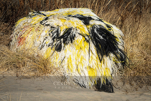 Beached Yarn
