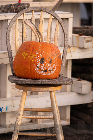 Pumpkin