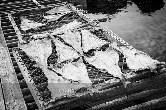 Salted Fillets