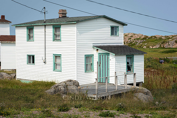 White Cottage, Joe Batt's Arm
