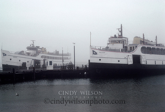 Old Harbor Ferries