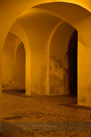 _CHW1157