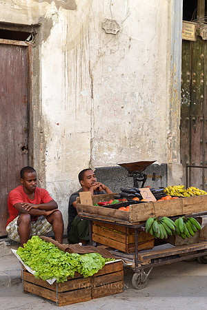 Profundo Journeys Cuba