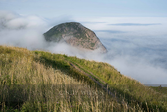 Fog Bank, Cape Spear