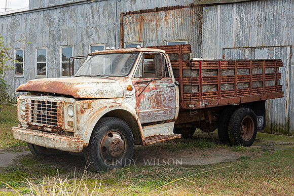 Rust on Rust, Solomons, MD