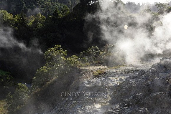 Hot Springs Steaming, Furnas