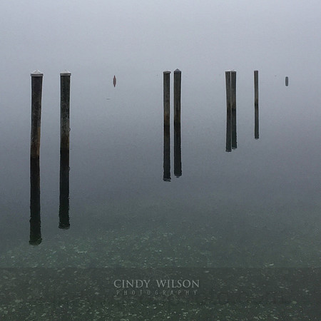 Pilings in the Mist